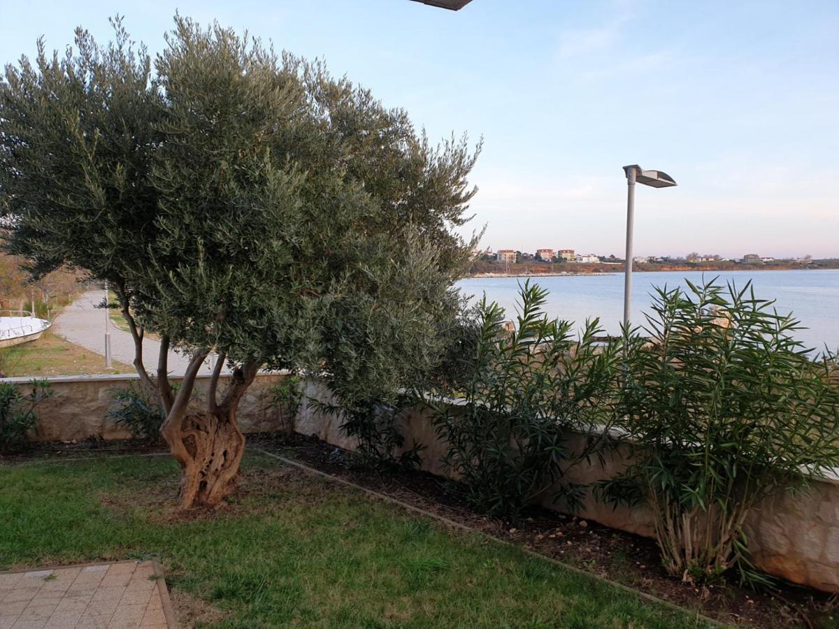 Summertime Apartmani Povljana Exterior foto